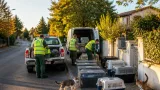 Montauban : campagne de capture et de stérilisation des chats errants dans deux quartiers périphériques