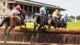 Moulins : Lupin d'Aubrelle conserve son record et domine le Grand Cross