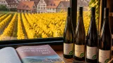 Plusieurs domaines du Haut‑Rhin distingués dans le Guide des meilleurs vins de France 2027