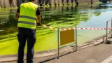 Prolifération de cyanobactéries sur la Mayenne : alerte maximale et inquiétudes locales