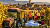 Quatre vendangeurs percutés à Bennwihr : deux personnes très grièvement blessées, une enquête ouverte