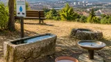 Saint‑Étienne installe 17 abreuvoirs dans ses parcs pour aider la faune pendant la canicule