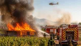 Un cabanon en flammes à Claira : une quarantaine de pompiers engagés pour contenir l'incendie