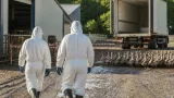Un foyer de grippe aviaire détecté en Maine‑et‑Loire : 7 600 canards vont être abattus
