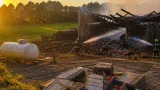 Un incendie détruit un poulailler à Sugères : 4 400 poussins périssent