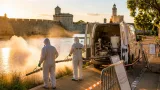 Un premier cas autochtone de chikungunya confirmé à Aigues‑Mortes dans le Gard