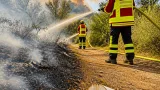 Un randonneur met le feu en brûlant du papier toilette : 5 000 m² détruits dans le Jura