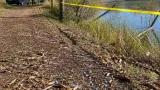 Valherbasse : des billes bleues dispersées en forêt, le maire porte plainte pour pollution
