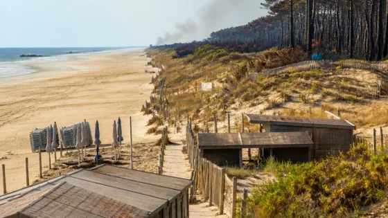 Après les incendies, le Médoc met tout en œuvre pour reconquérir les touristes