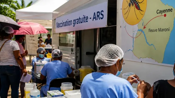 Chikungunya en Guyane : la vaccination progresse mais le virus continue de circuler