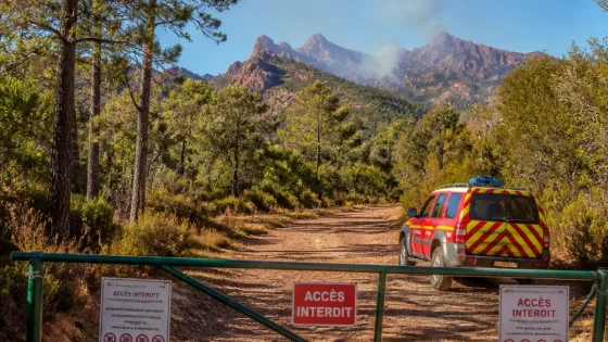 Feu : trois massifs du Var fermés samedi 29 août, restrictions étendues sur plusieurs secteurs