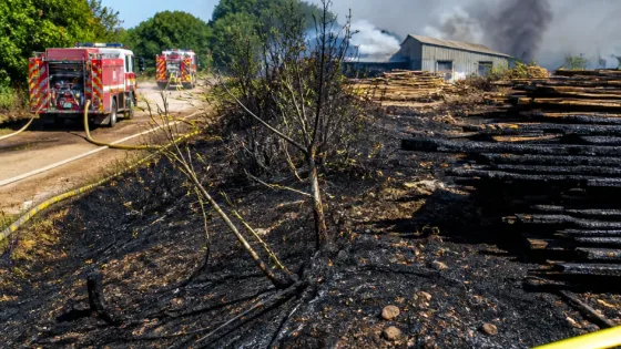 Feux de broussailles en Haute-Vienne : quatre hectares brûlés et 200 tonnes de bois détruites
