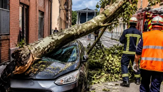 Toulouse : un homme de 77 ans meurt après la chute d’une branche de platane en centre-ville