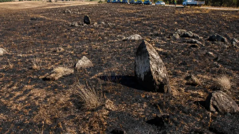 Après l’incendie de la Lande de Cojoux, la renaturation prendra des années