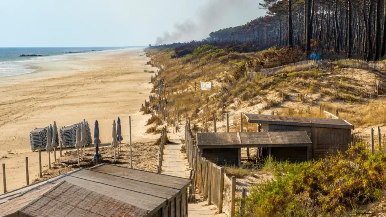 Après les incendies, le Médoc met tout en œuvre pour reconquérir les touristes