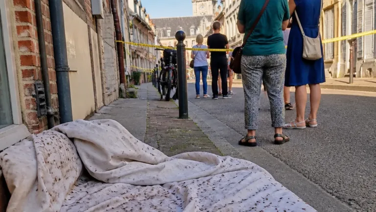 Arras : un appartement infesté, des draps pleins de punaises de lit jetés dans la rue inquiètent le voisinage