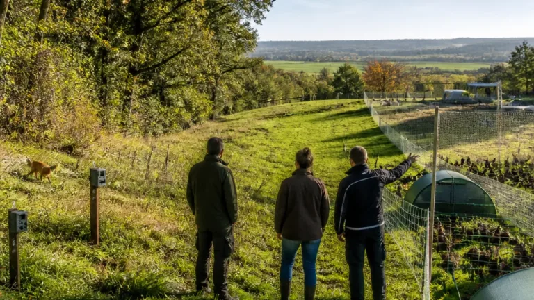 Dans le Doubs, une expérimentation scientifique met la régulation du renard sous observation