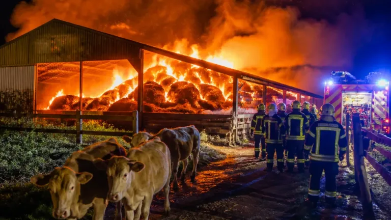 Incendie d’une ferme à Chaumont-Gistoux : un dispositif de secours important, une vache décédée