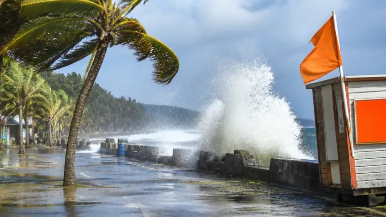 La Martinique placée en vigilance orange : fortes pluies, vents violents et risques de submersion