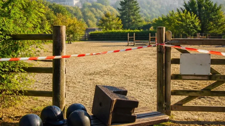 Najac : une enquête ouverte après la mort d'une adolescente lors d'une sortie équestre