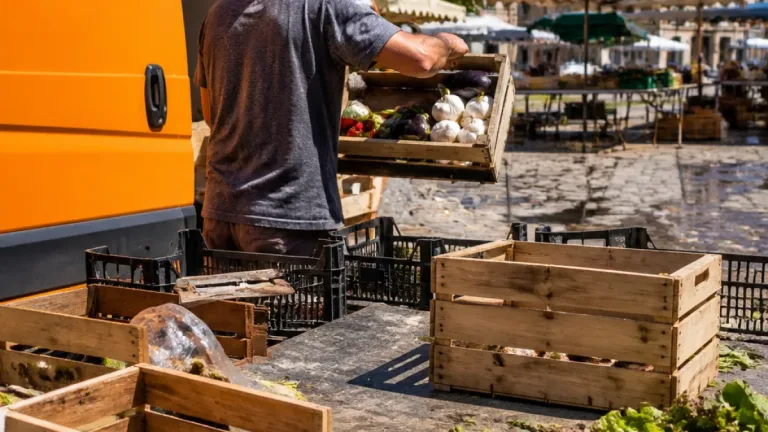 Tulle : maraîchers face aux pertes et aux étals clairsemés après les fortes chaleurs