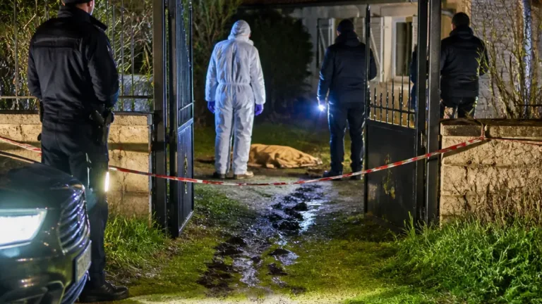 Un homme tué devant son domicile à Nogent-sur-Aube, un groupe aperçu en fuite