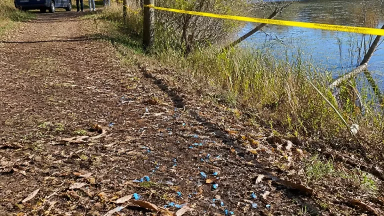 Valherbasse : des billes bleues dispersées en forêt, le maire porte plainte pour pollution