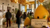 Άλιμος: Υβριδική έκθεση για τη «συνύπαρξη» ανθρώπου και μέλισσας στο Στέκι Νεολαίας