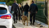 Επίθεση σκύλου στις Αχαρνές: 26χρονη τραυματίστηκε, συνελήφθη ο 54χρονος ιδιοκτήτης