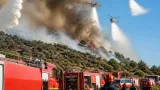 Φωτιά στο Τιτάνιο όρος: επιχειρούν εναέρια μέσα και δυνάμεις στην Καρδίτσα