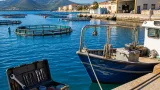Γαλαξίδι: Η «Γαλαξίδι Θαλάσσιες Καλλιέργειες» αναζητά τεχνίτες–συντηρητές