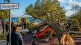 Καλαμαριά: Δέντρο έπεσε σε παιδική χαρά — τραυματίστηκαν μητέρα και παιδί