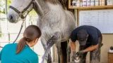Κοινοβουλευτική παρέμβαση για καταγγελλόμενες συνθήκες σε δομές πρόνοιας του Λασιθίου