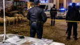 Ρέθυμνο: Ελεύθεροι με όρους δύο αλλοδαποί μετά τη μεγάλη αστυνομική επιχείρηση στον Μυλοπόταμο