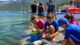 Βασιλική: Καθημερινές βιωματικές δράσεις και περιβαλλοντική εκπαίδευση στο Summer Camp