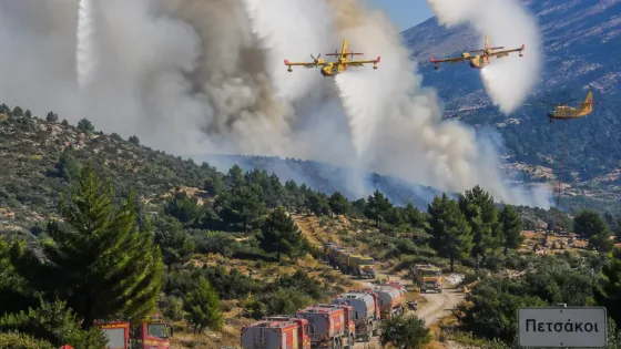 Καλάβρυτα: Ισχυρές δυνάμεις επιχειρούν για πυρκαγιά σε αγροτοδασική έκταση Πετσάκοι