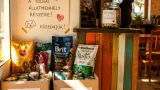 Adománygyűjtést indított a tolnai Bárka Bistro a táphiánnyal küzdő kalocsai menhely megsegítésére