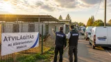 Átvilágítják a hazai menhelyeket — a miskolci önkormányzati telep is érintett lehet