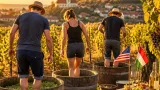 Az amerikai ügyvivő Tokajban: hagyományok, partneri kapcsolatok és a bor jövője