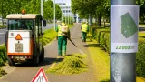 Debrecen felszámolja a királydinnyét a kerékpárutak mentén: 22 ezer m2 vegyszeres kezelés és kaszálás