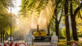 Dunaújvárosban szeptembertől átfogó növényvédelmi munkák kezdődnek a városi fasorokon