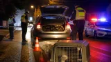 Fehérpamacsos selyemmajmot találtak egy tiszafüredi férfi autójában, őrizetben a gyanúsított