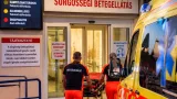 Fertőzések a héten: Heves megyében egy agyvelőgyulladásos esetet regisztráltak