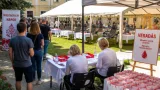 Hatszáz véradót várnak Békésre a Madzagfalvi Napok véradására