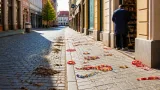 Lovasok Pécs belvárosában: takarítási hiányosságok az ünnepi rendezvény után