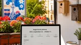 Székesfehérvár: elindult a Virágos Székesfehérvár pályázat — mire és hogyan lehet jelentkezni