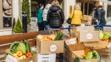 Szekszárd a csomagokkal csökkenti az élelmiszer-pazarlást — több mint 37 000 adag mentve