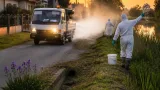 Szúnyoginvázió: Győr-Moson-Sopron nyugati részén biológiai és vegyi védekezés indul