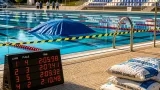 Tatabánya: vaddisznótetem a Gyémánt Fürdő medencéjében — kérdések merülnek fel a tájékoztatásról