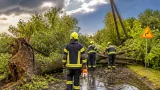 Vihar söpört végig a Dél‑Dunántúlon: Baranyában is kidőltek fák, helyenként fennakadt a forgalom